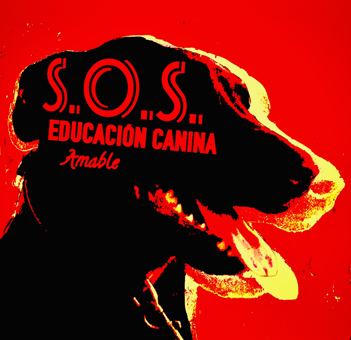 Especialista Canino